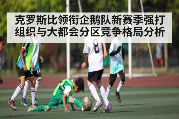 克罗斯比领衔企鹅队新赛季强打组织与大都会分区竞争格局分析